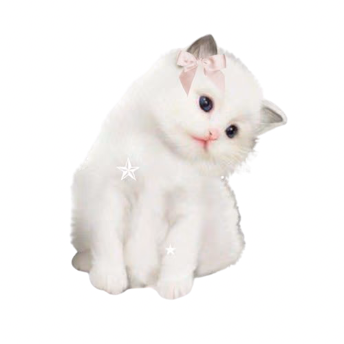 coquette_kitten emoji