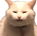 CE_Squint emote