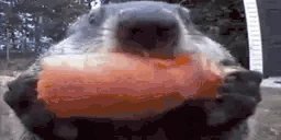 VeryPog emote