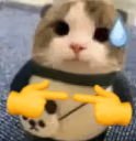 oopsieshy emote