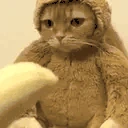 PogTasty emote