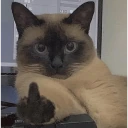 imbecil static emote