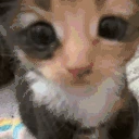 debil emote