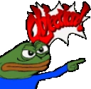 OBJECTION emote
