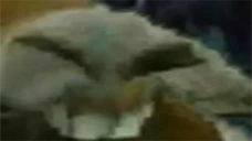 XDD emote