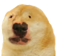 dug emote