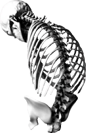 skeleton_hunched emote