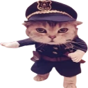 catCop emote