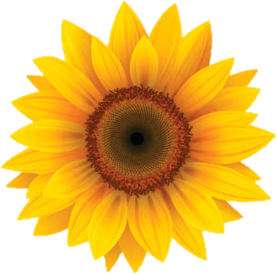 Sunflower emote