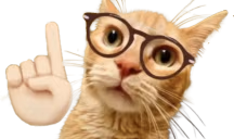 ACKSUALLY emote
