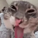 Freaky emote