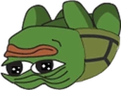 Turtle emote
