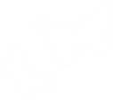 ButterflyOutlines emote