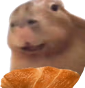quason emote