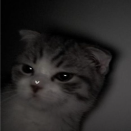 jasontm22 avatar
