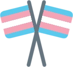 crossed_trans_flags emote