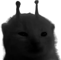 blaorp emote