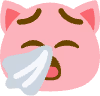 Rpnnn emote