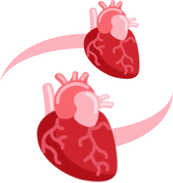 revolving_anatomical_hearts emote