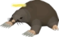 HOLYMOLY emote