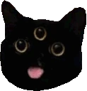 hocgif emote