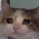 CE_Why emote