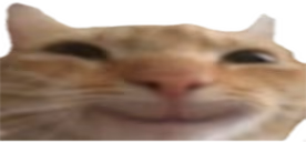 bigSmile emote