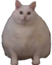 chonk emote