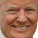 trumpgrin static emote
