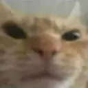 CE_Anger3 emote