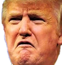 TrumpDisgust emote