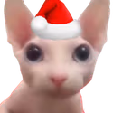 ChristmasCat emote