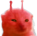rorp emote