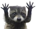 CAUGHT emote