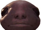 ERPogO emote