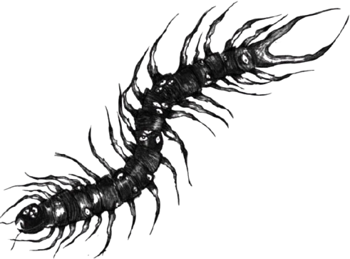 goth_centipede emote