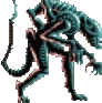 xeno emote