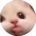 blaSpin emote