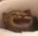 AAAAAAAAAAA emote