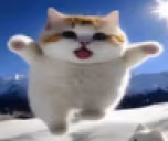 yippie emote
