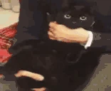 THIS emote