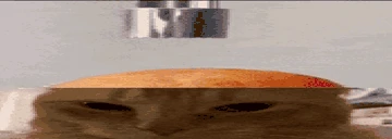 Podumal emote