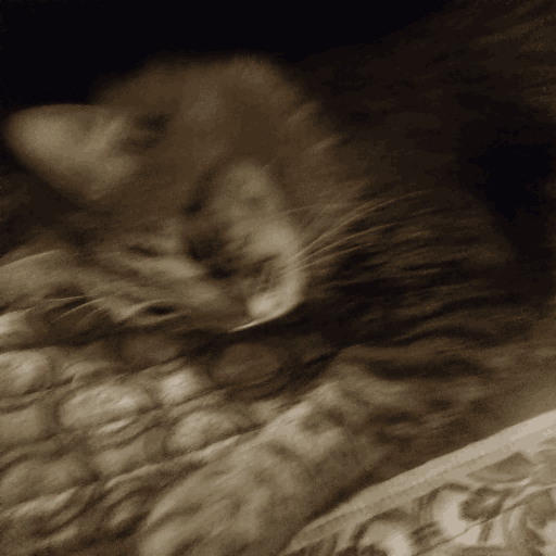 catsleepy