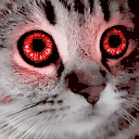 meow emote