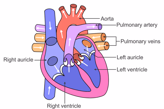 heart emote