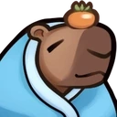 capyCOZY emoji