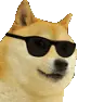 cooldoge emote
