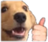 Doggy_like emote