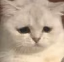 sad emote