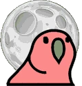 moonParrot emote